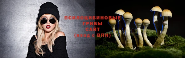 хмурый Алзамай