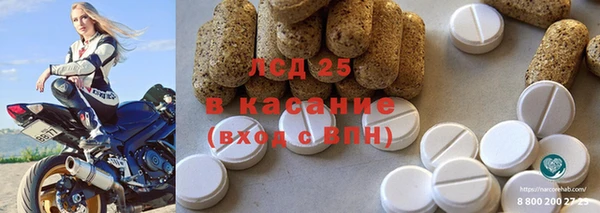хмурый Алзамай