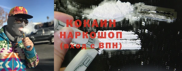 хмурый Алзамай