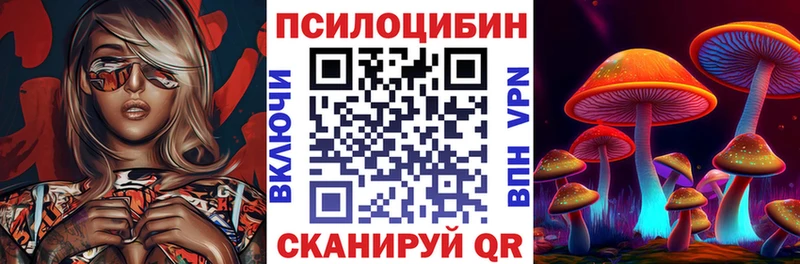 Псилоцибиновые грибы Psilocybe  hydra   Бирюч 
